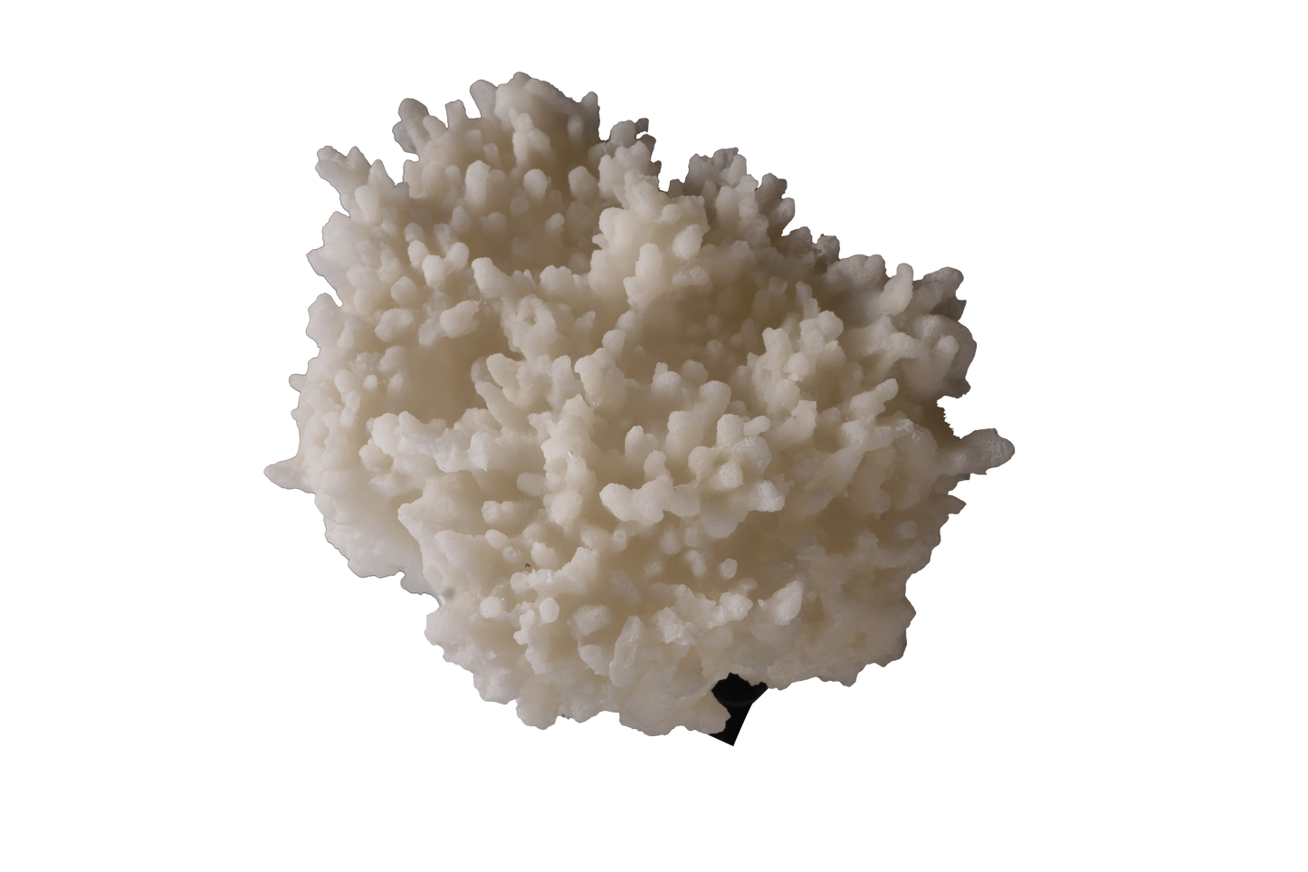 Cocoa Muse Figurine B