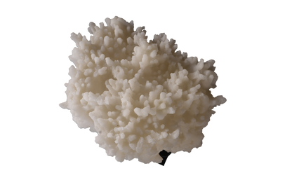 Cocoa Muse Figurine B