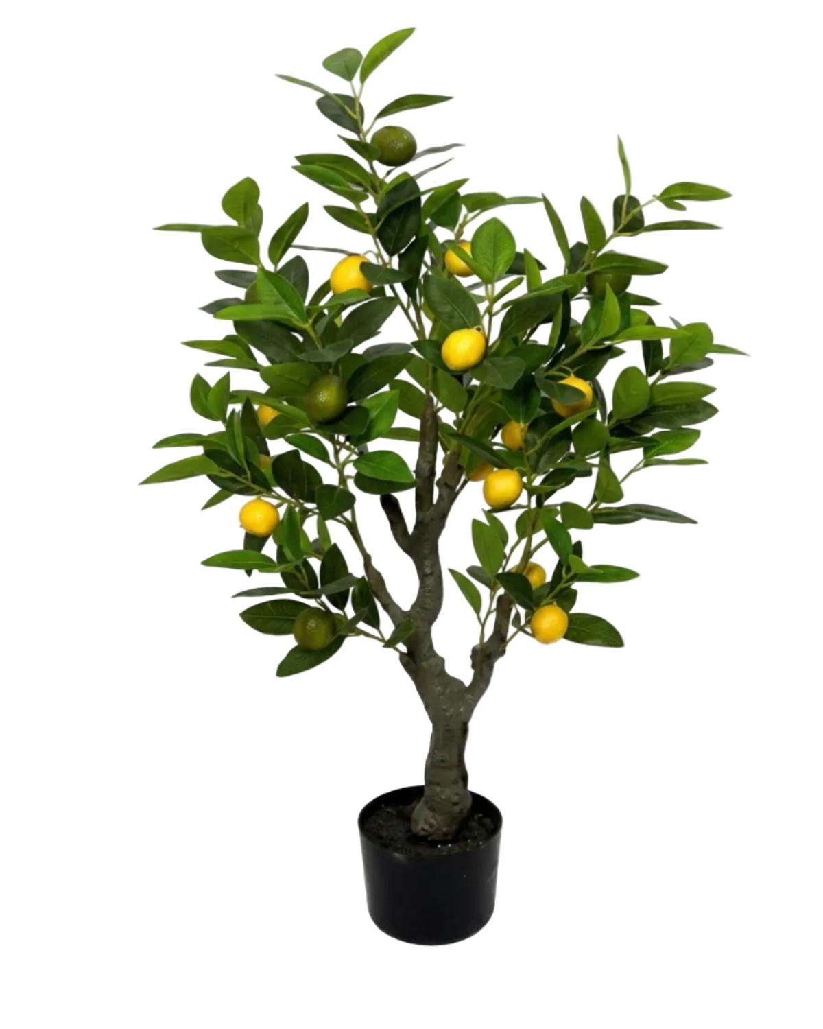 Potted artificial lemon tree with green leaves and yellow lemons on a white background