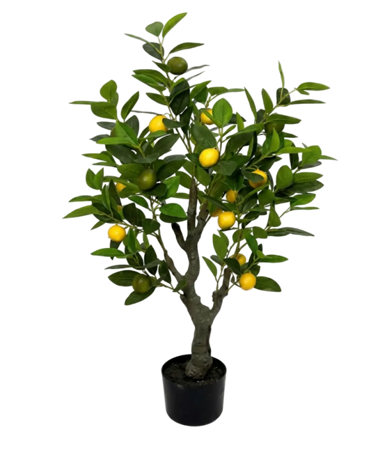 Potted artificial lemon tree with green leaves and yellow lemons on a white background