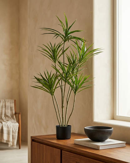 Artificial Dracaena Plant