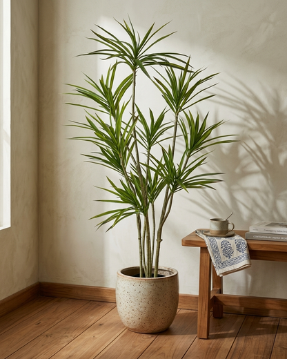Artificial Dracaena Marginata Plant
