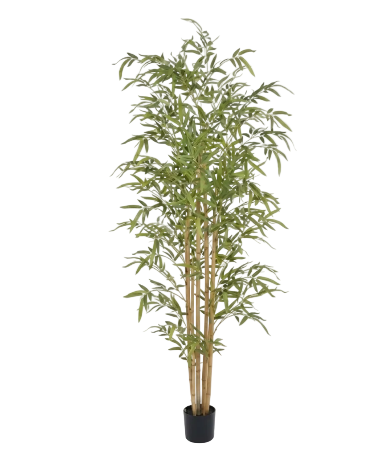Artificial bamboo plant in a pot on a white background
