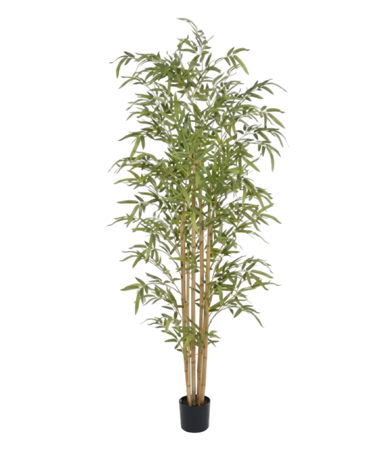 Artificial bamboo plant in a pot on a white background