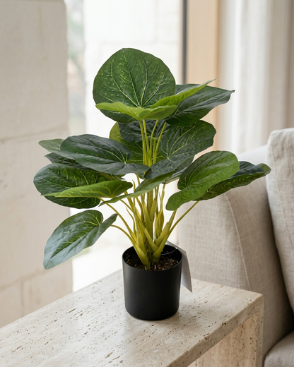 Artificial Alocasia Plant