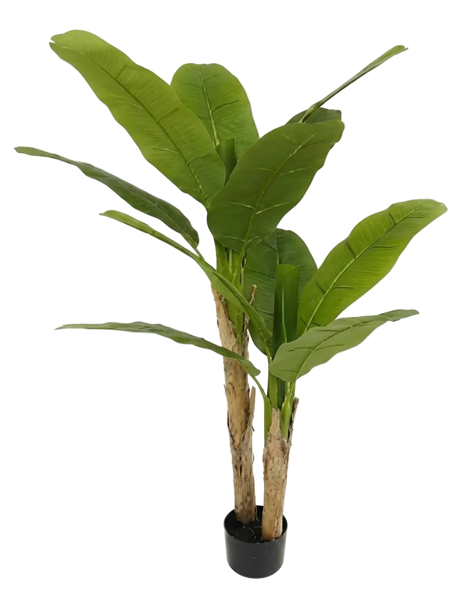 Artificial banana plant with large green leaves on a white background