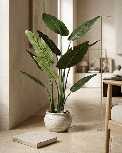 Strelitzia