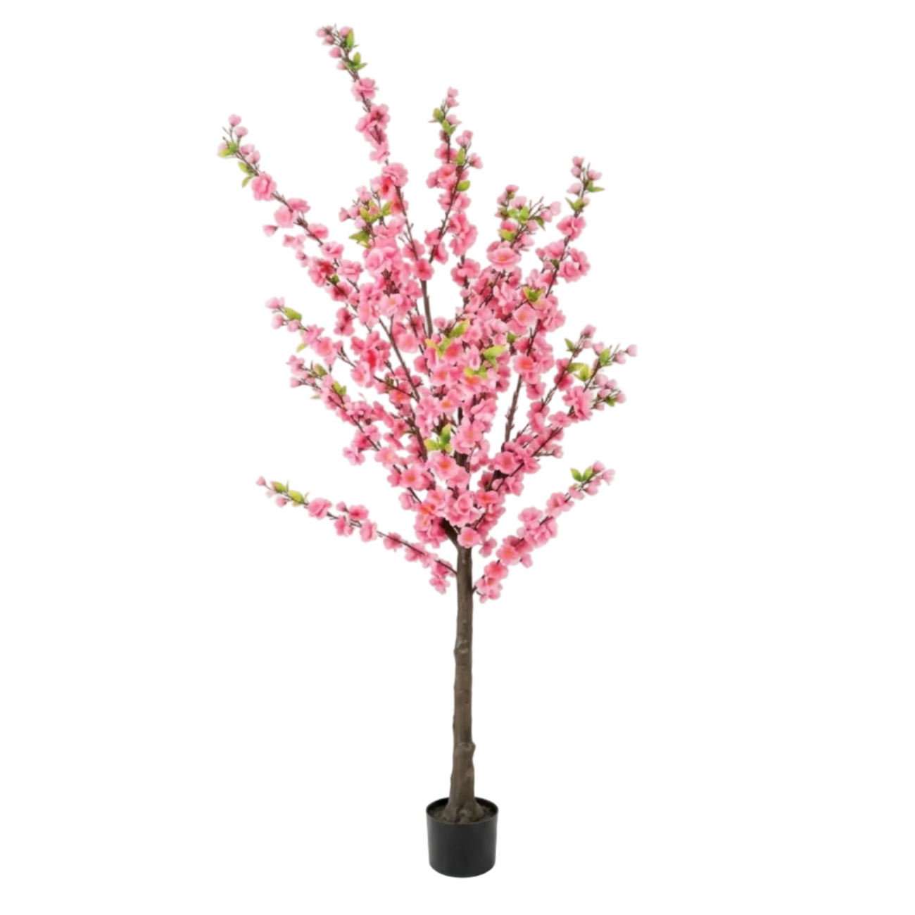 Pinkoria