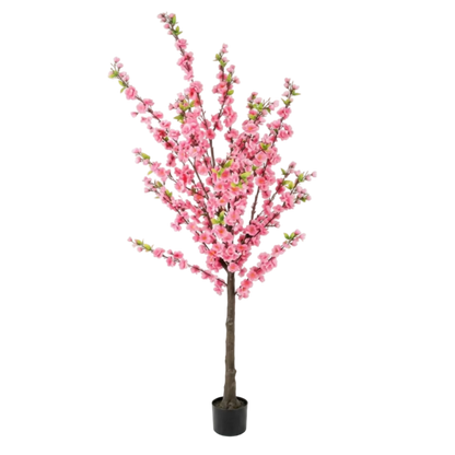 Pinkoria