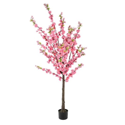 Pinkoria